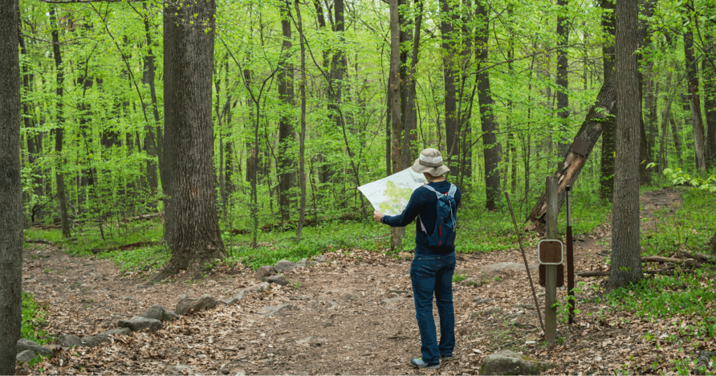 Un bivio in un sentiero che rappresenta la scelta tra self-publishing e casa editrice.