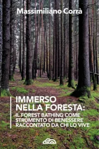 Immerso nella Foresta — Il Forest Bathing come strumento di benessere raccontato da chi lo vive